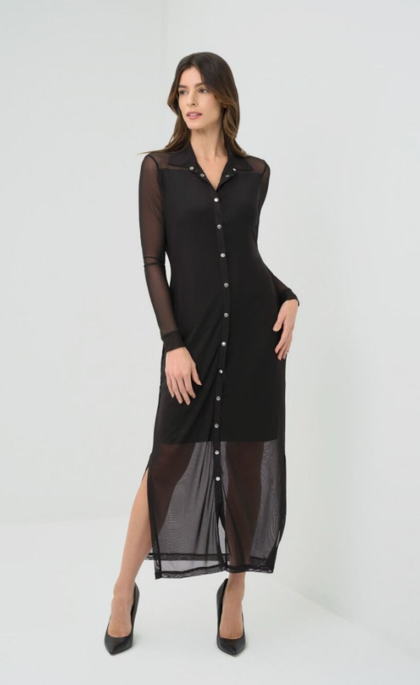 Anatomie Dress Small Colette Mesh Overlay Shirt Maxi Black Sheer Elegant Chic - Picture 1 of 16